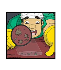 Termite Control